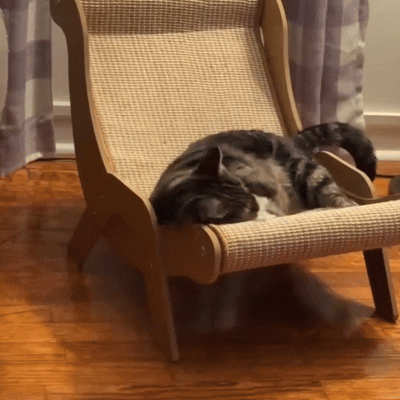 PurrNest™ Cat Scratcher Lounge