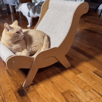 PurrNest™ Cat Scratcher Lounge