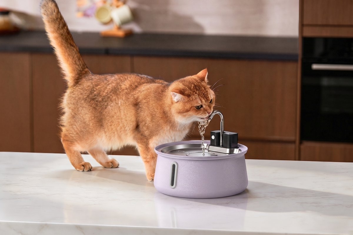 PurrFlow™ Cordless Cat Water Fountain